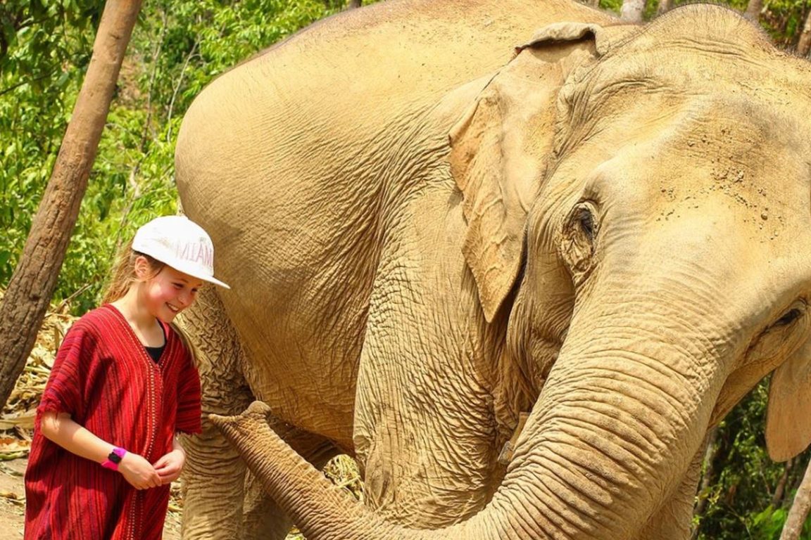 Elephant Sanctuaries Kata Rocks Phuket